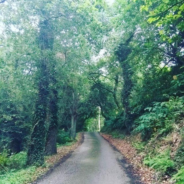 Somavilla Cantabria Екстер'єр фото